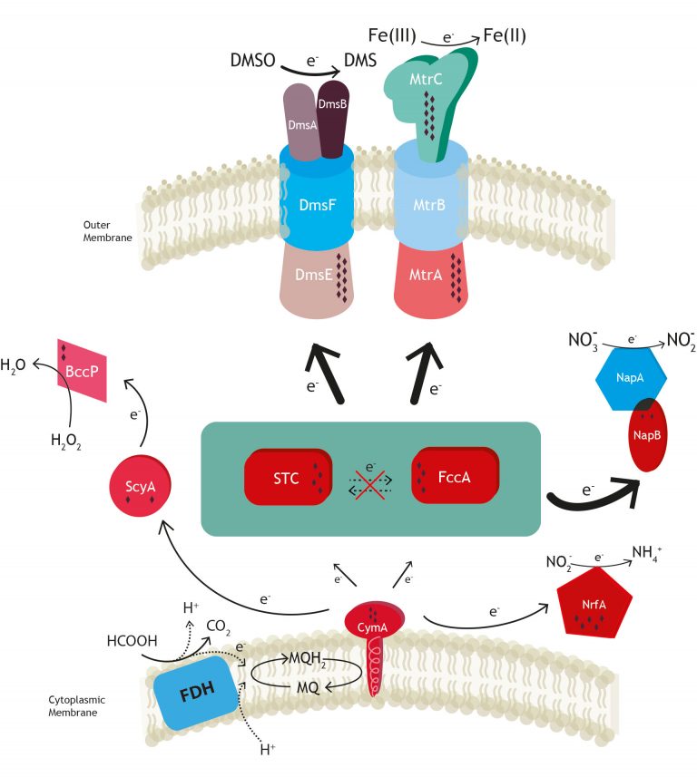 RESEARCH KIT APPLIED BIOLOGY