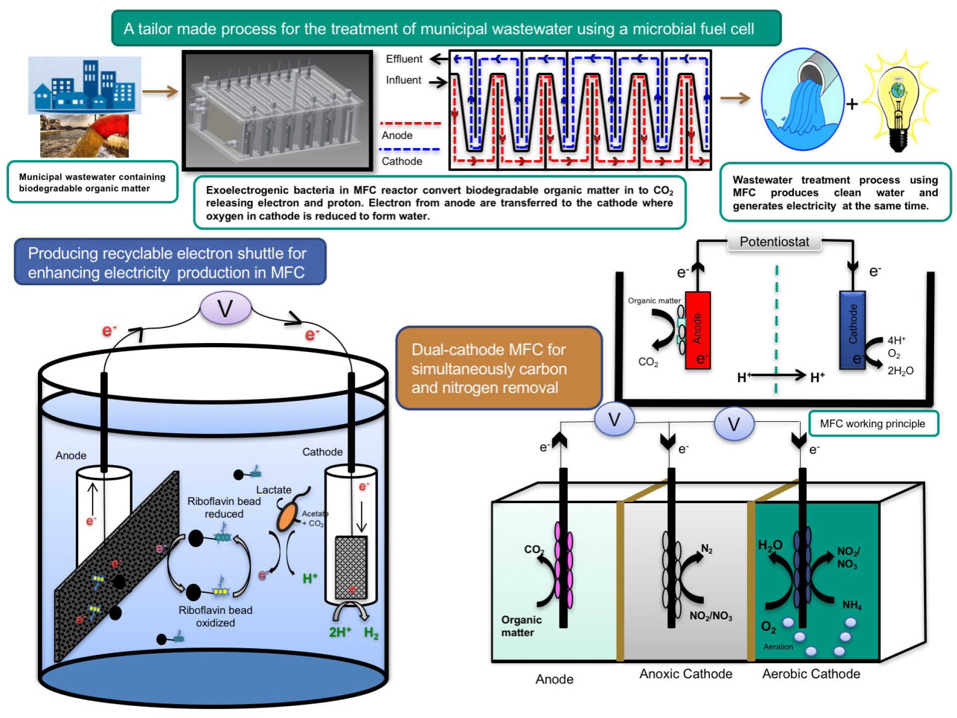 Microbial Fuel